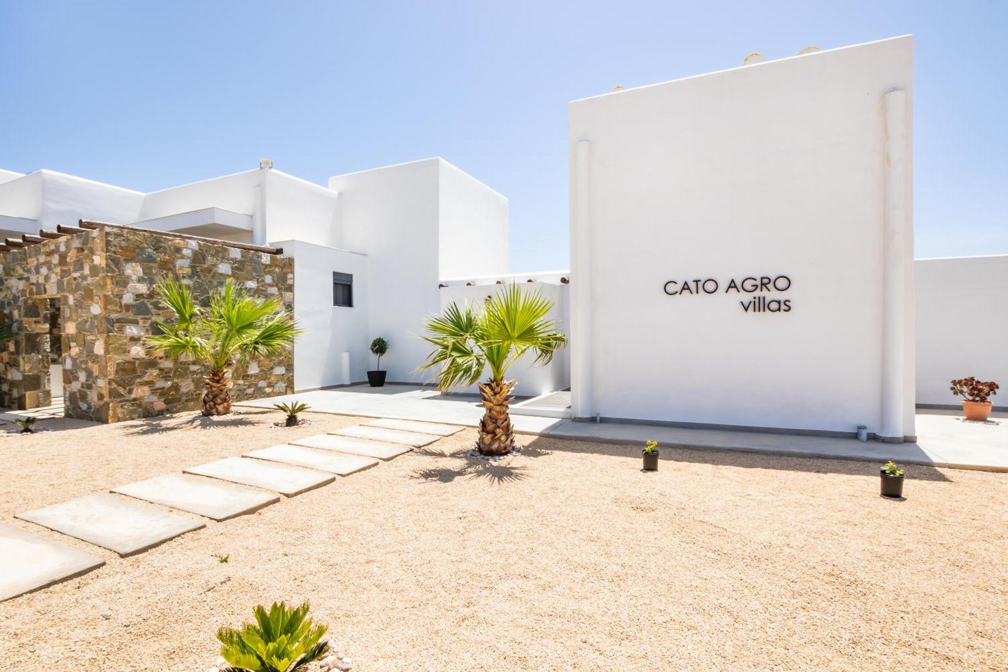 Cato Agro 3, Seafront Villa With Private Pool 奇波斯阿费提 外观 照片